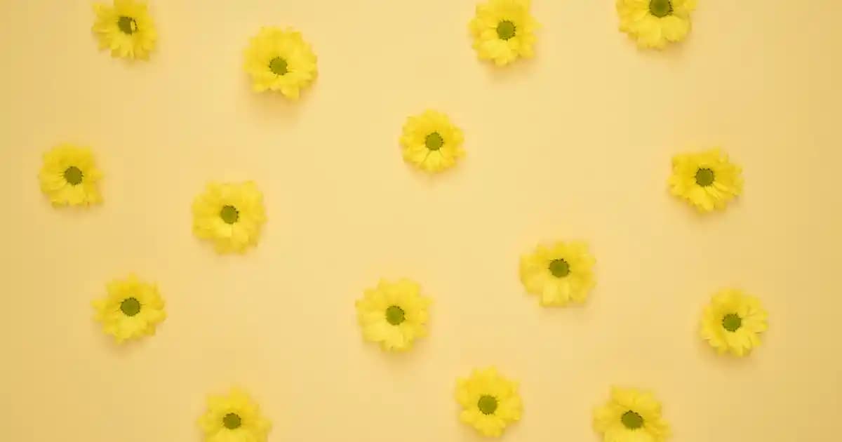 14 Ayar Altın Oroline Kan Bileklikleri: Şıklık ve Dayanıklılığı Bir Arada Sunan Tasarımlar