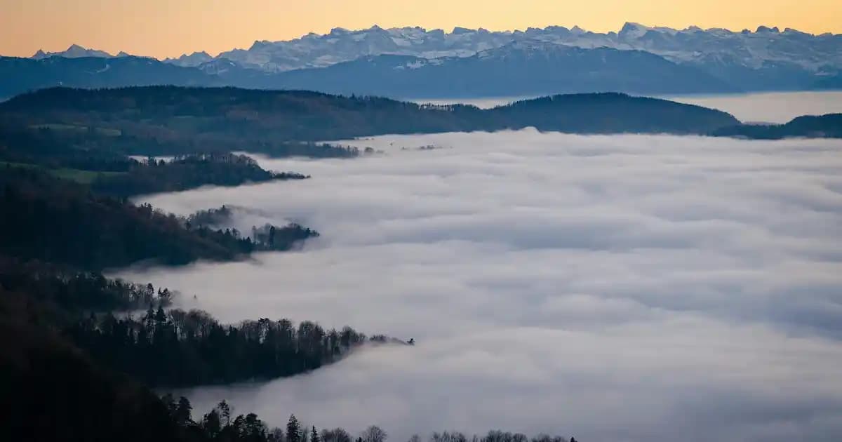 Abiye Saten Portföy Gece Çantası: Şıklık ve Fonksiyonelliğin Buluşması