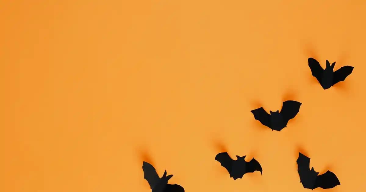 Altın Kilit ve Zirkon Taşlı Bileklikler: Şıklık ve Ekonomiyi Bir Arada Sunan Takı Seçenekleri