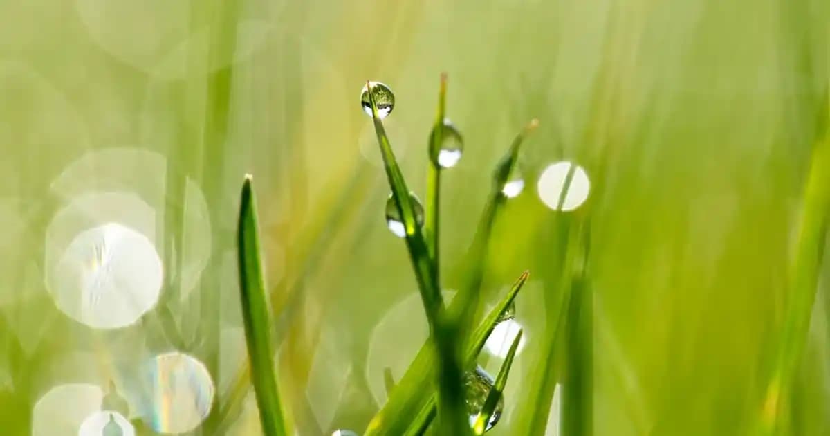 Çoklu Yüzük Setleri ve Aksesuar Trendleri: Stil ve Kullanım İpuçları