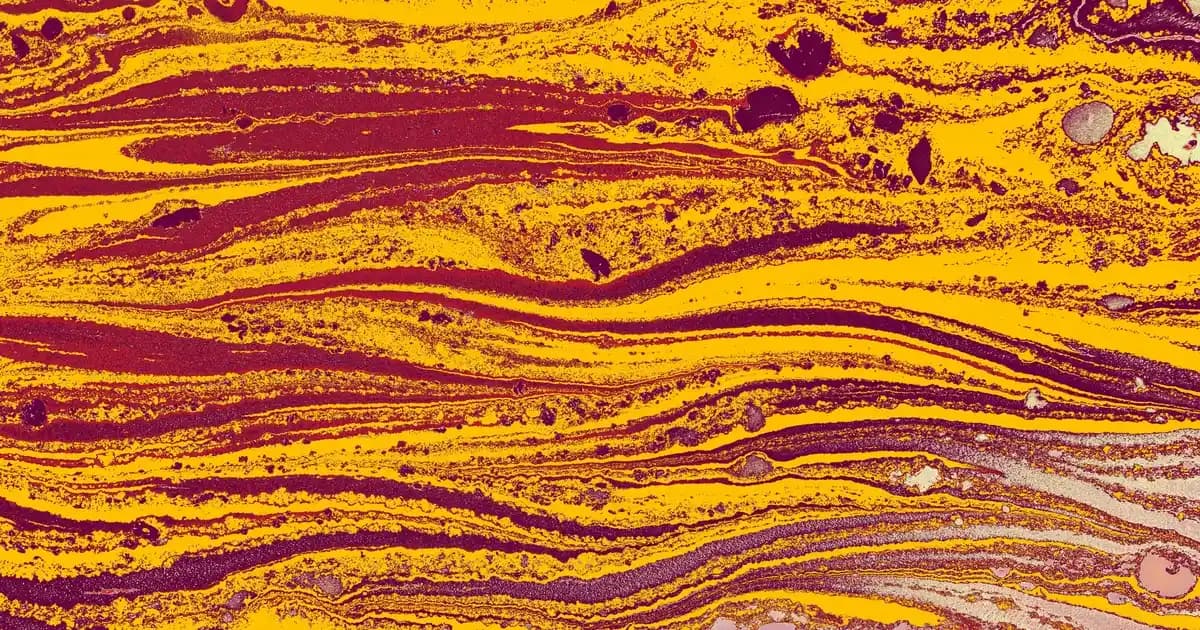 Dayanıklı ve Şık Mandal Tokalar: Elektronik ve Ev Aksesuarlarında Güncel Trendler