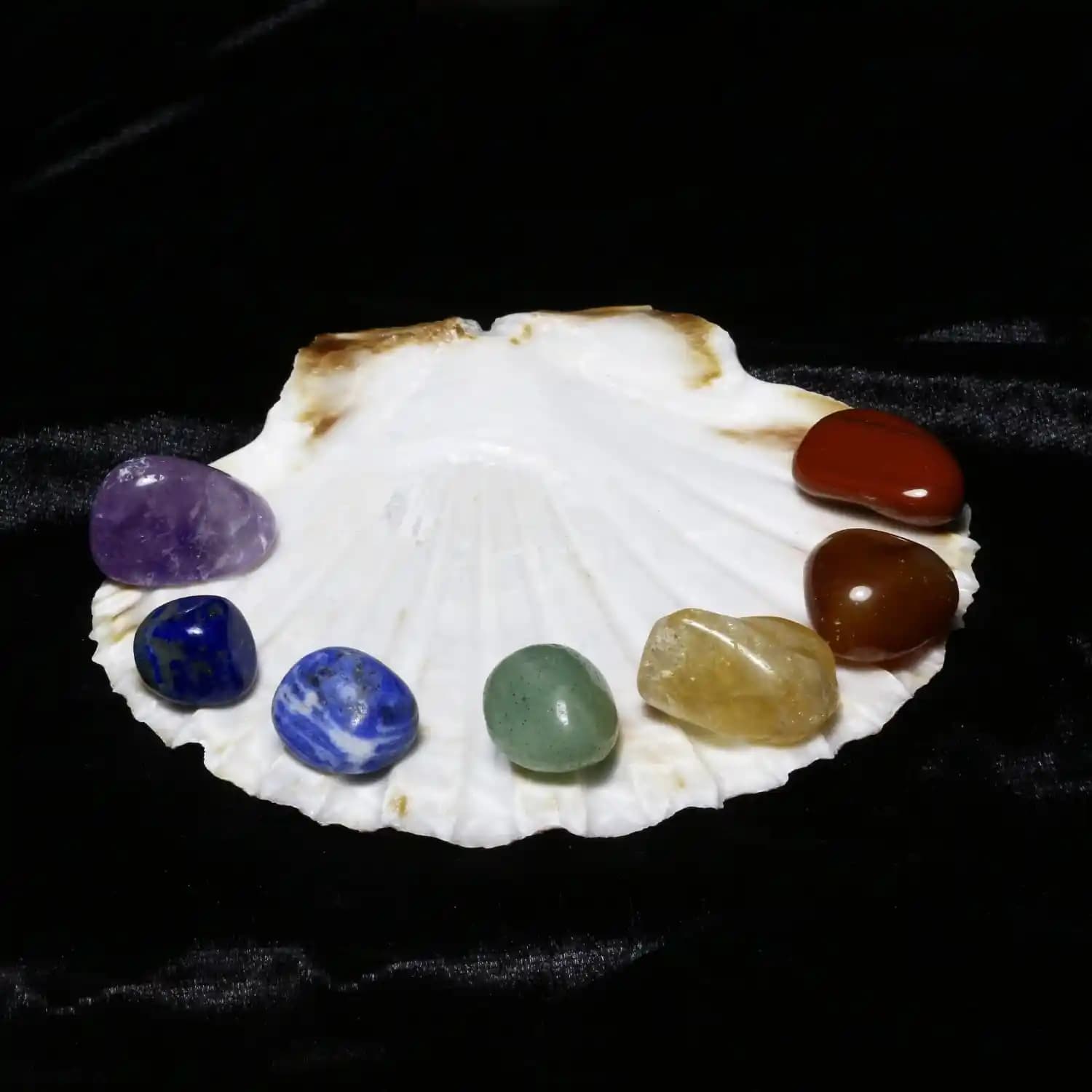 Deniz Kabukları ve Doğal Taşların Takı Tasarımında Kullanımı ve Estetik Özellikleri