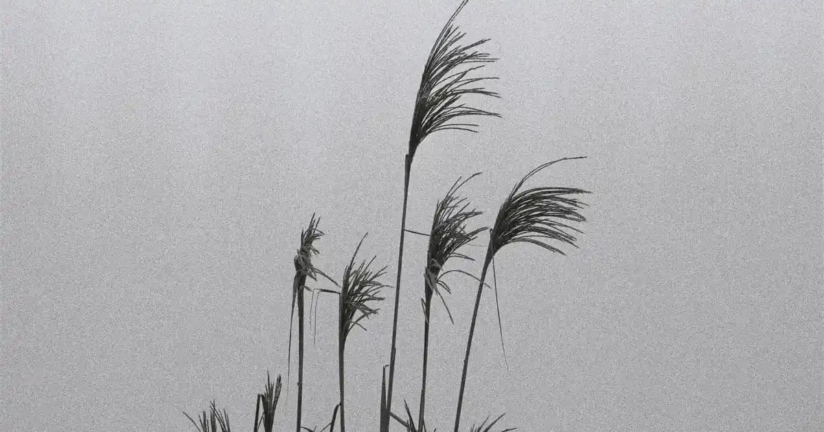 Electron tabanlı uygulamalarda asar dosyalarının kullanımı ve güvenlik önlemleri