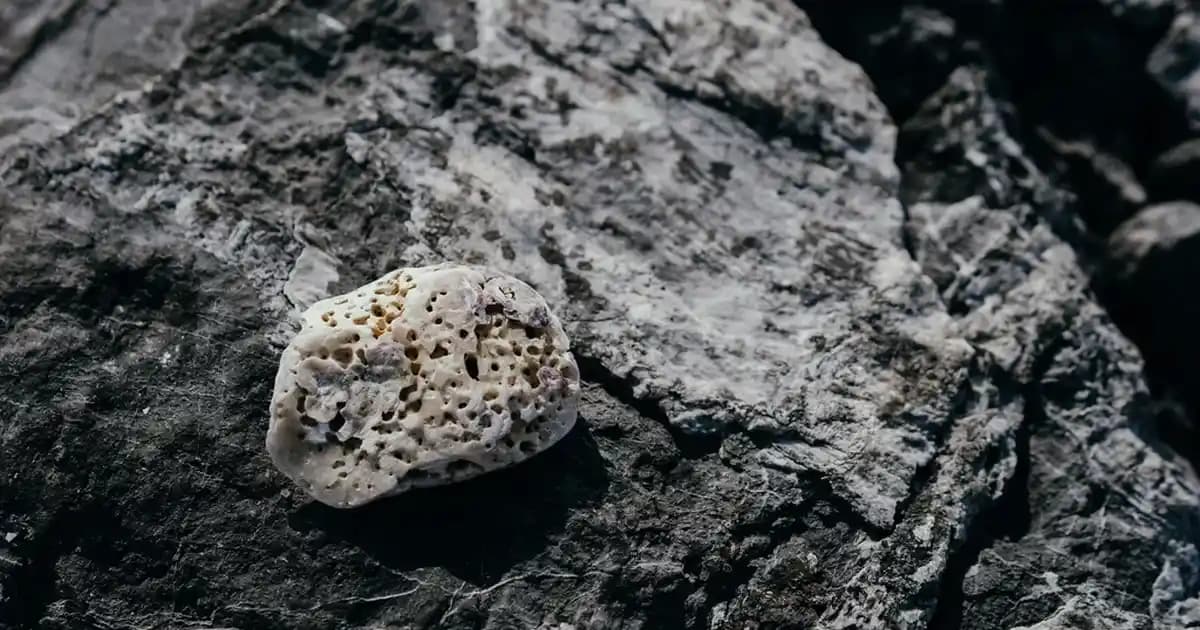 Erkek Çanta Seçimi ve Kullanımı İçin Stil Rehberi Günlük ve Resmi Ortamlar İçin