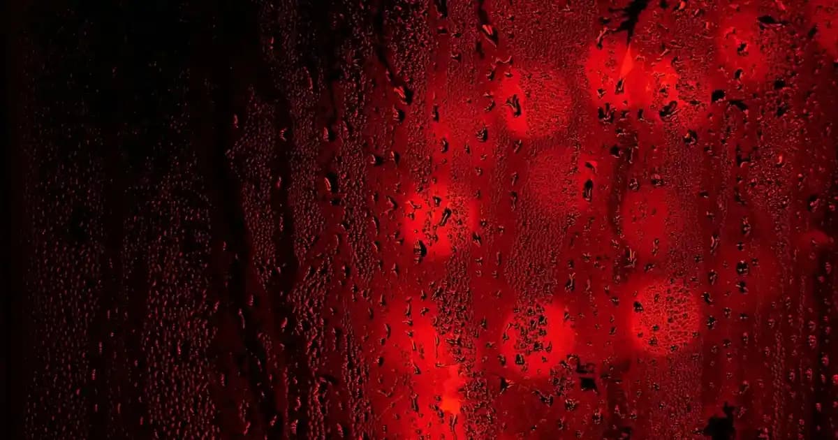 Erkekler İçin Adidas Sırt Çantaları: Dayanıklı ve Fonksiyonel Tasarımlar