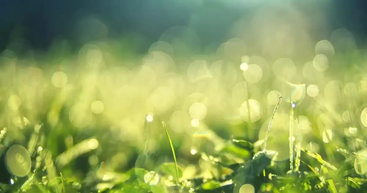 Erkekler İçin Güncel Omuz Çantası Modelleri ve Trendler Hakkında Kapsamlı Bilgi