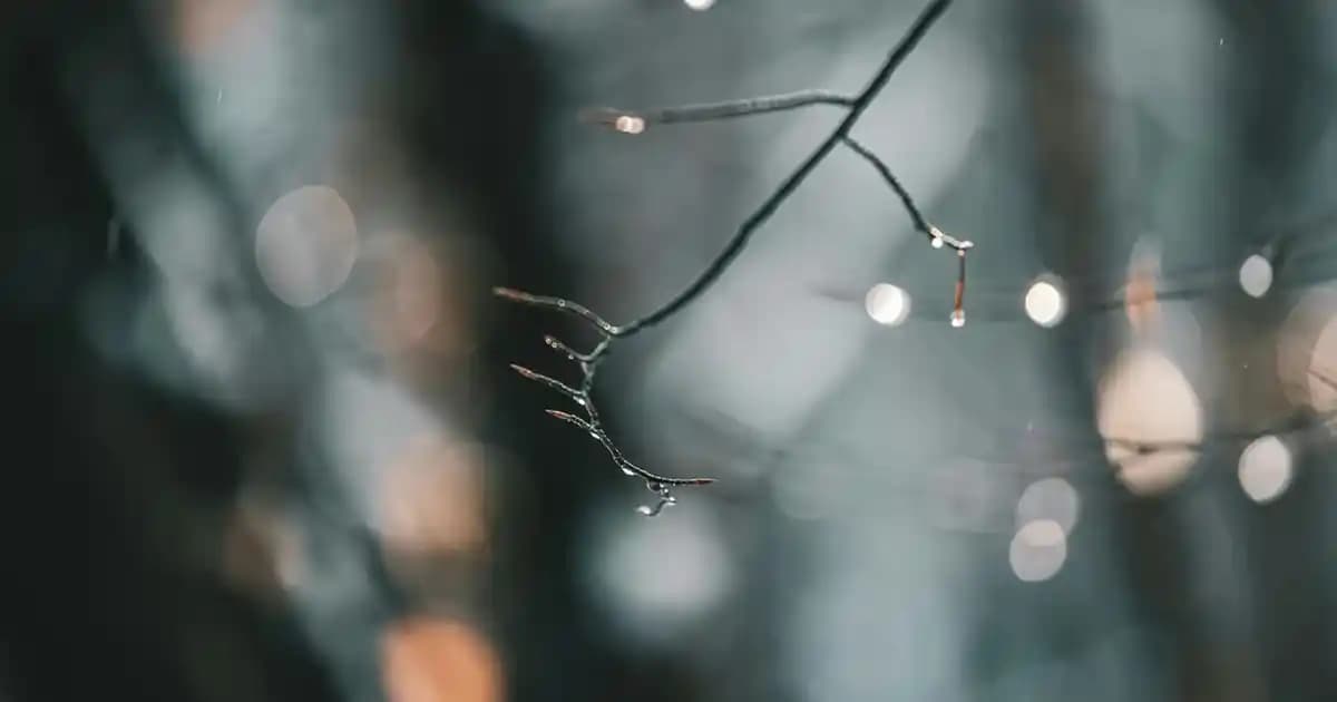 Gümiş Su Yolu Bileklikleri: Dayanıklı ve Estetik Tasarımlarla Uzun Ömürlü Takı Seçenekleri