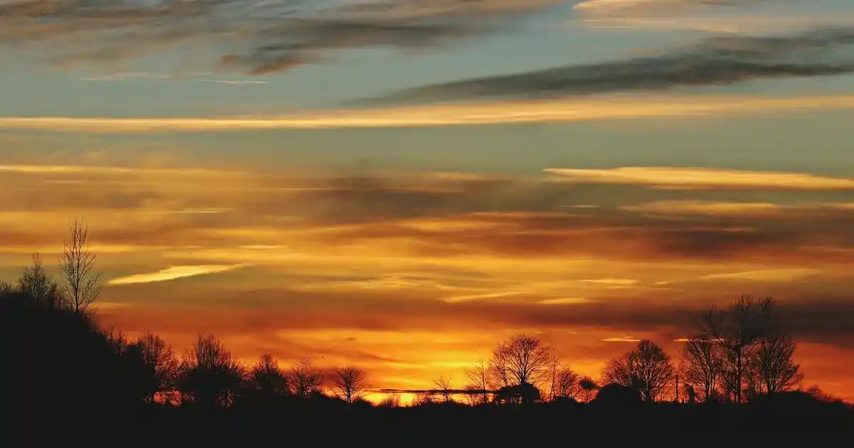 Güncel Polo Çanta Modelleri ve Fiyat Trendleri: Moda ve Fonksiyonellik Bir Arada