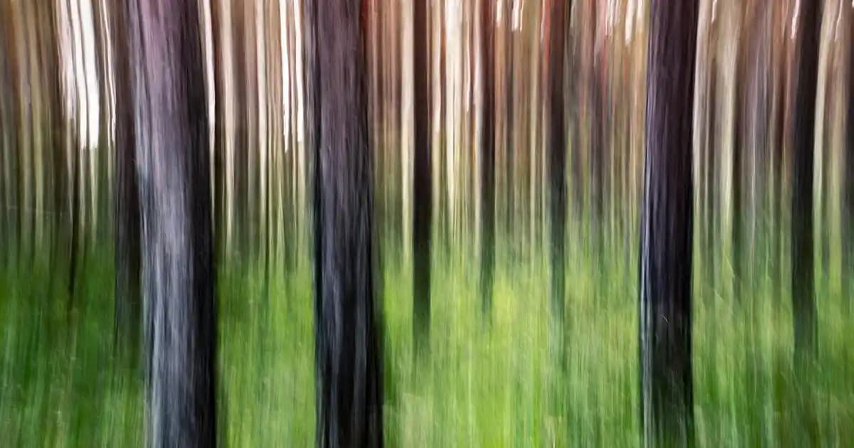 Kadın Babet Ayakkabılarında Şıklık ve Rahatlık Dengesi Günlük Kullanım İçin Uygun Seçenekler