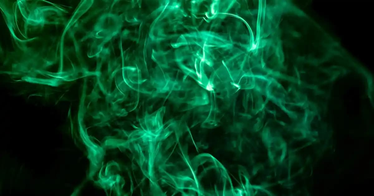 Kadın Sneaker Modelleri: Nike, Adidas ve Puma ile Günlük Şıklık ve Konfor