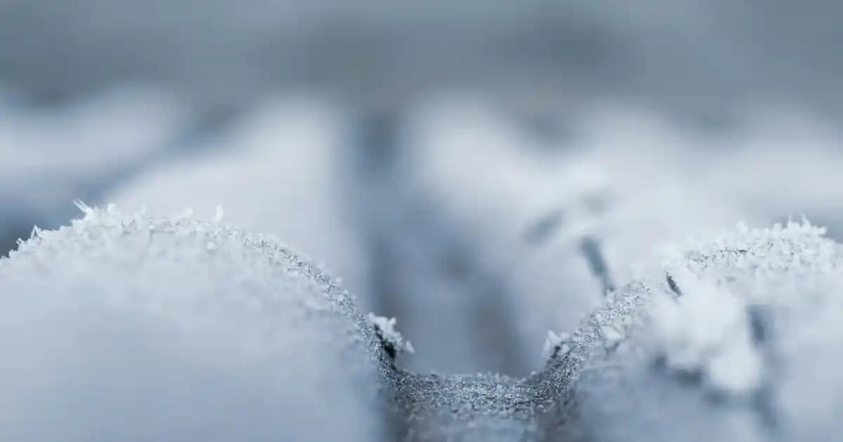 Kadınlar İçin Siyah Şık ve Konforlu Terlikler: Günlük ve Özel Kullanım İçin En İyi Seçenekler