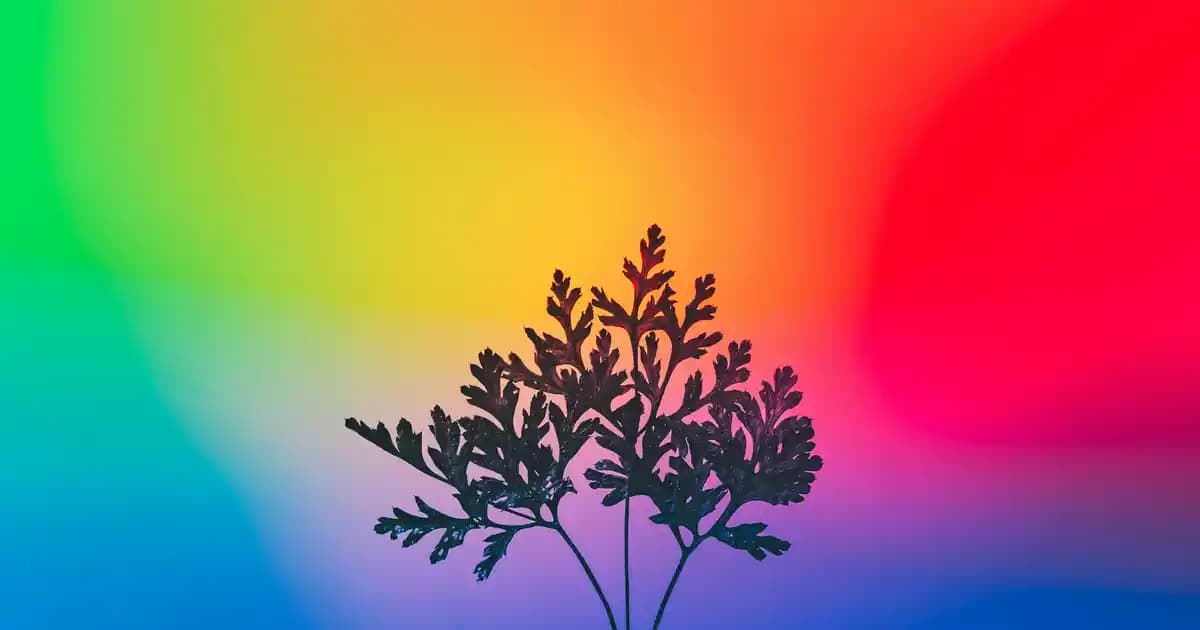 Nike Air Force 1 Sneakers Moda ve Kültür Tarihinde Öncü Bir İkon