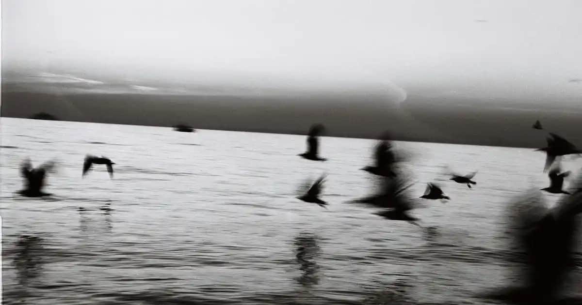 Elektronik Cihazlar İçin Şarj Aletlerinin Güncel Gelişimi ve Seçim Rehberi