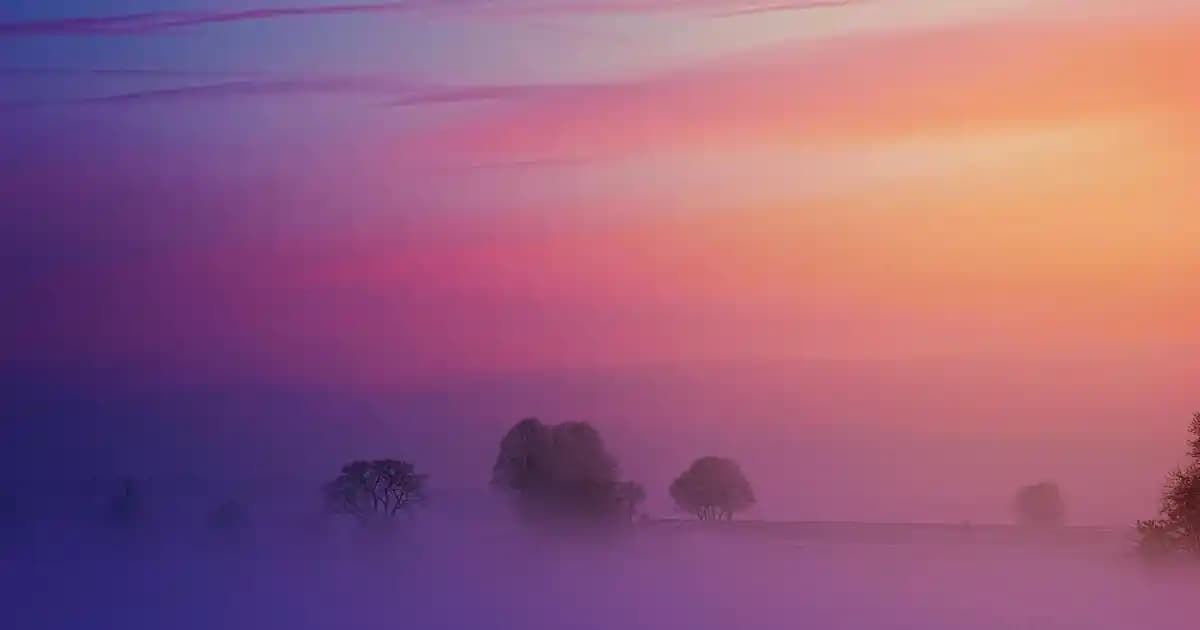 Beylikdüzü'nde Kaliteli Ayakkabı ve Çanta Seçenekleri Uygun Fiyatlarla Sunuluyor