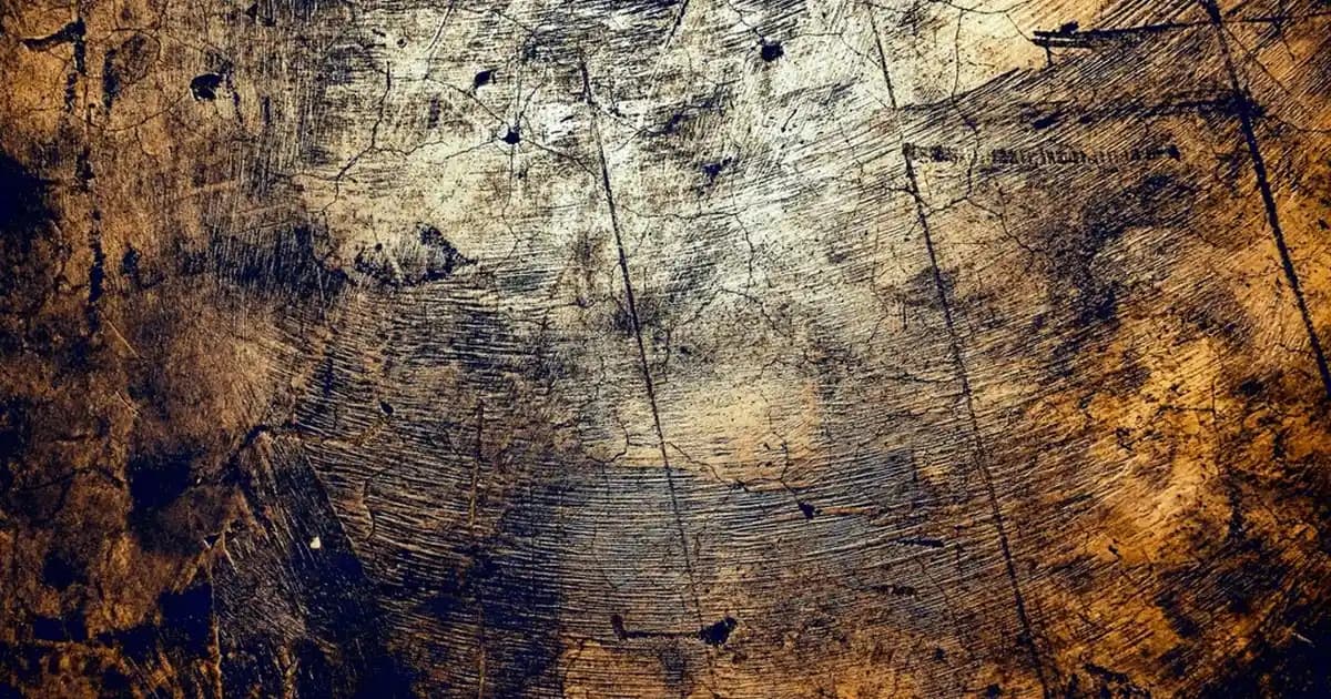 Çok Bölmeli Kan Çantaları: Günlük Kullanımda Pratiklik ve İşlevsellik