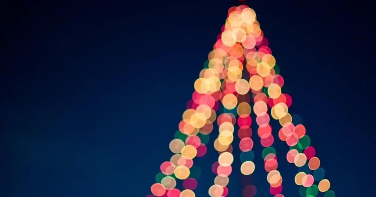 Erkekler İçin Konforlu ve Şık Chelsea Bot Modelleri Hakkında Bilmeniz Gerekenler