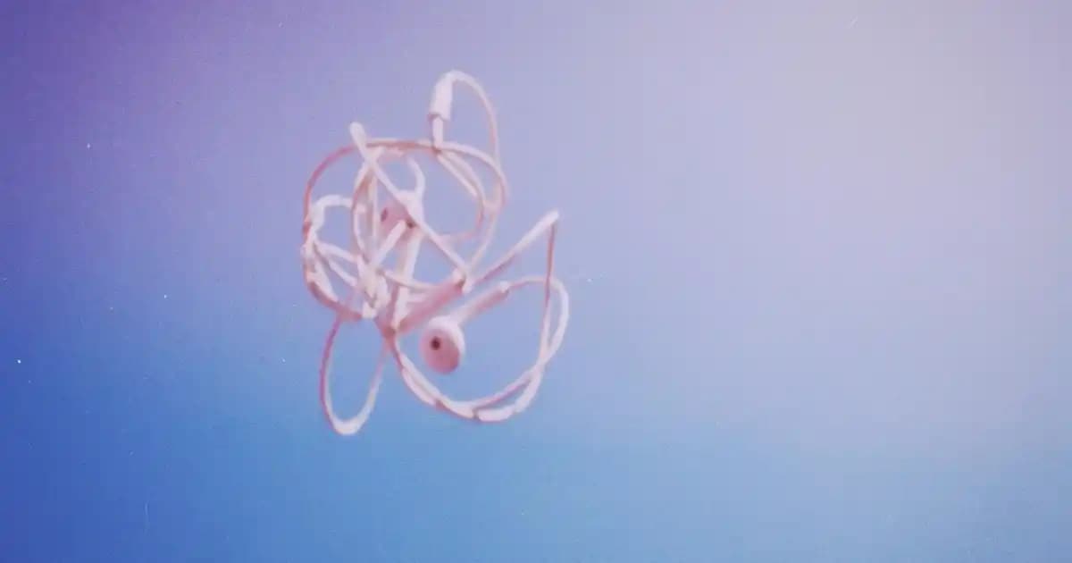 Fossil Siyah Sırt Çantaları: Şıklık ve Dayanıklılığı Bir Arada Sunan Modeller