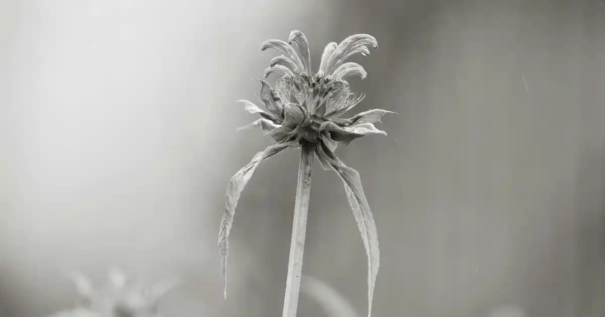 Günlük Elektronik Çantaları: Pratik ve Güvenli Cihaz Taşıma Çözümleri