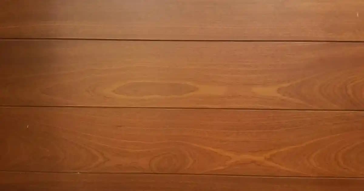 Kadın Çantalarının Kullanım Sıklığı ve Fonksiyonelliği Üzerine Detaylı Bir Analiz