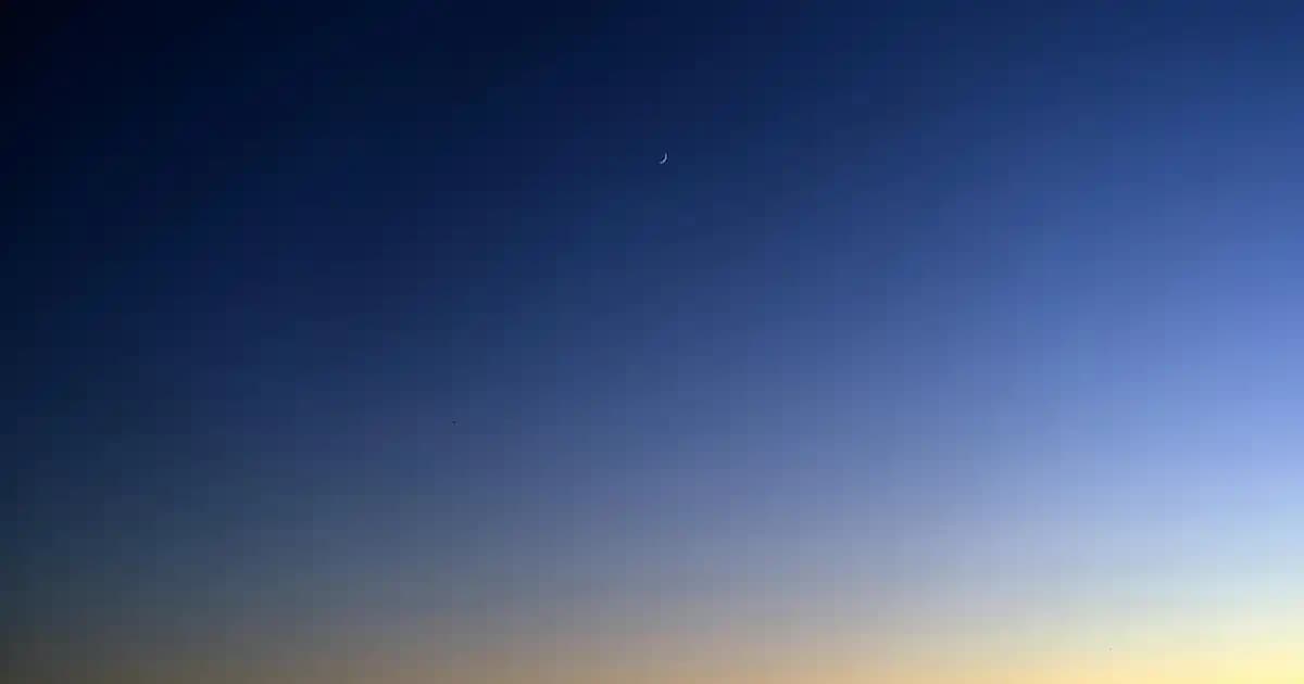 Kadın Günlük Stilde Mini Çantaların Önemi ve Trendleri