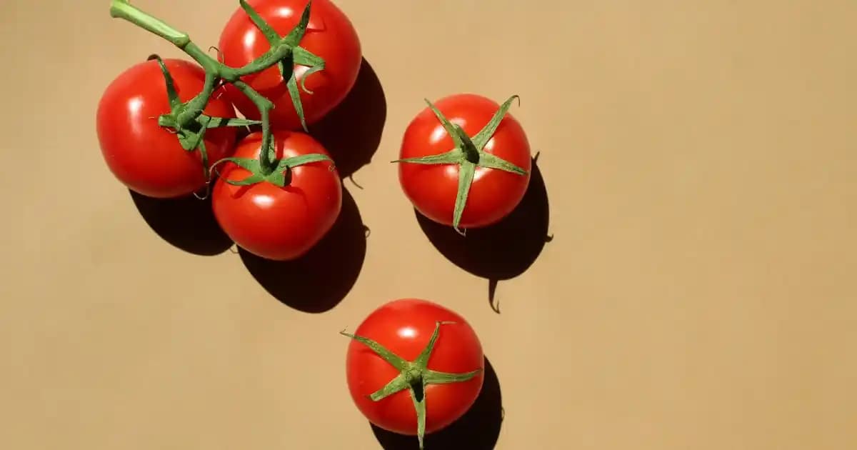 Kadınlar İçin Bot Seçiminde Dikkat Edilmesi Gerekenler ve Güncel Trendler