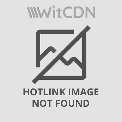 Kadınlar İçin Konforlu ve Sağlıklı Günlük Terlik Seçenekleri Rehberi