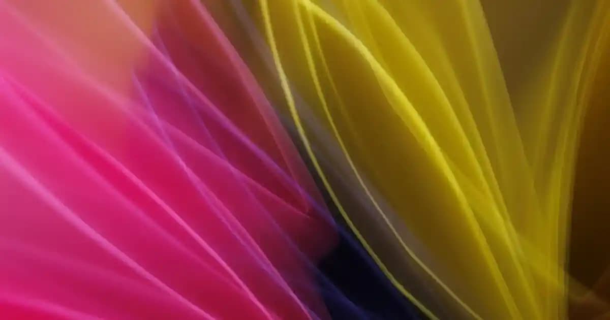 Manuka Baskılı ve Koruklu Detaylara Sahip Kanvas Çanta Özellikleri ve Karşılaştırması