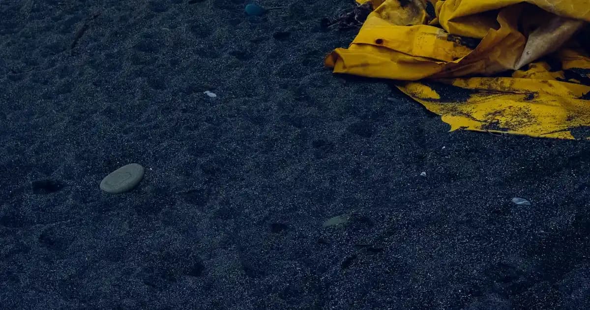 Nike Erkek Terlikleri Güncel Modeller ve Özellikleri ile Konfor ve Şıklık Sunar
