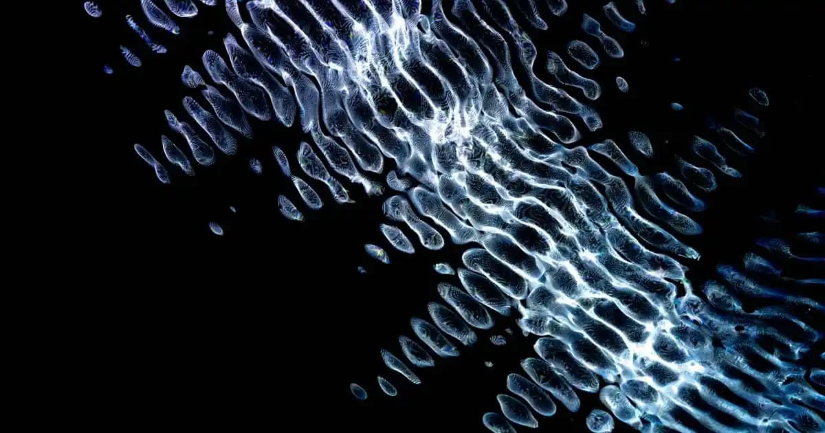 Otomatik Toka ve Fiyonk Aksesuarlar: Modern ve Şık Saç Aksesuarları Trendleri