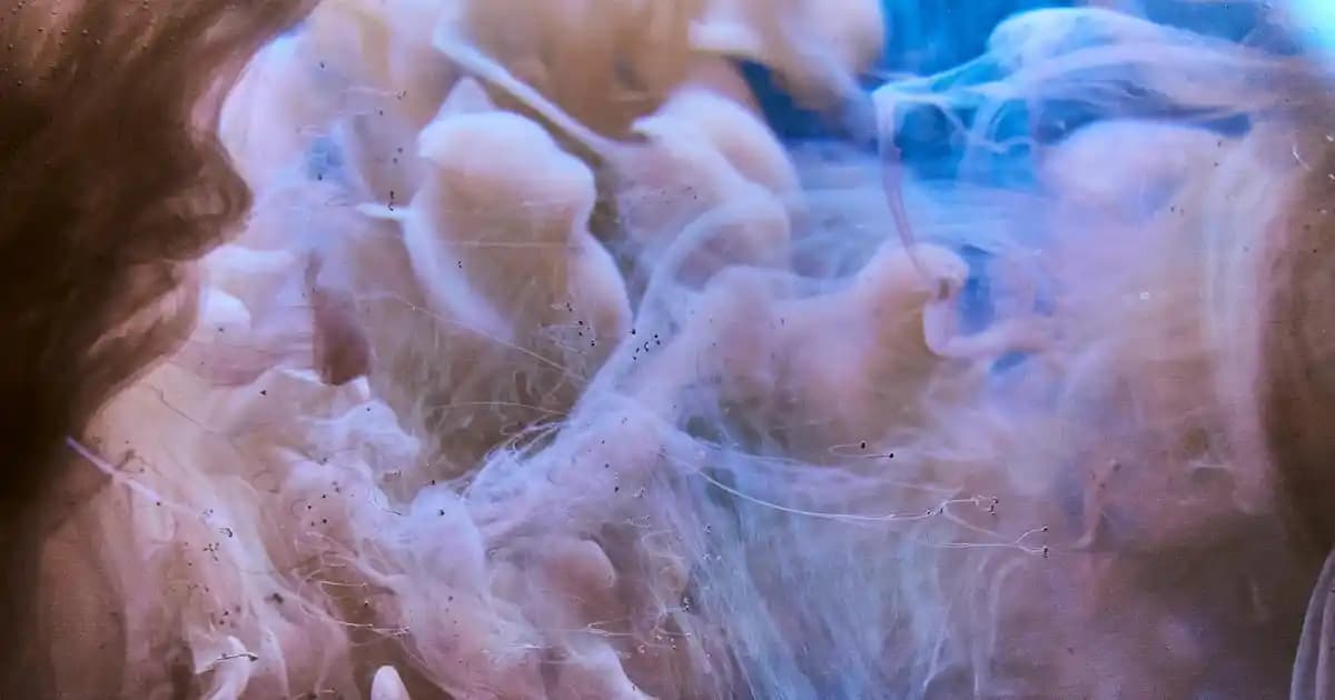 Siyah Zincir Detaylı Baget Çanta: Modern ve Şık Tasarımlarla Günlük ve Özel Kullanım