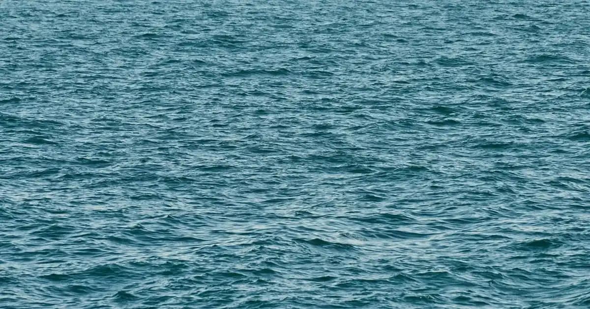 Skechers Siyah Ayakkabılar: Şık ve Konforlu Günlük Kullanım Modelleri