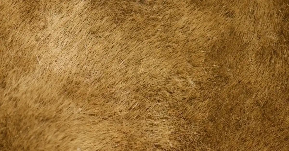 Spor Ayakkabı Numarası Ayarlama Yöntemleri ve Ayak Sağlığını Koruma İpuçları