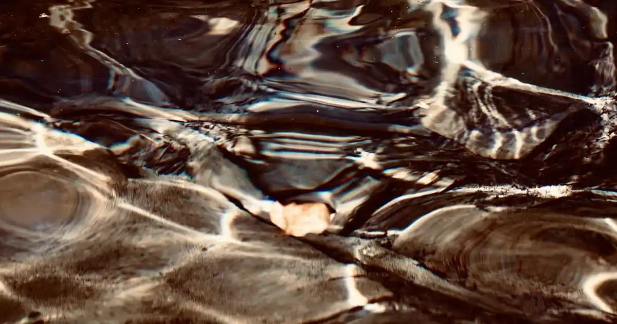 Spor ve Günlük Kullanım Çantalarında Dayanıklılık ve Fonksiyonellik Özellikleri