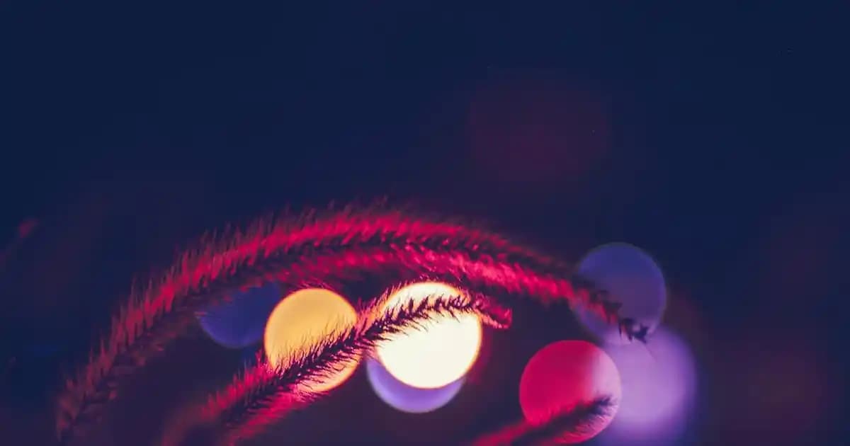 Tasci Design Abiye Takı Aksesuarları: Zarif ve Şık Detaylarla Moda Dünyasında Öne Çıkın