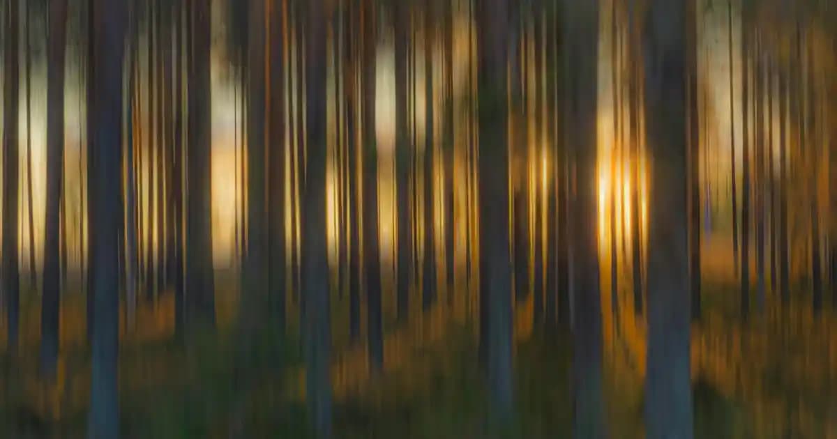 Yazlık Sandaletlerde Şıklık ve Rahatlık Dengesi: En Trend Modeller ve Seçim İpuçları