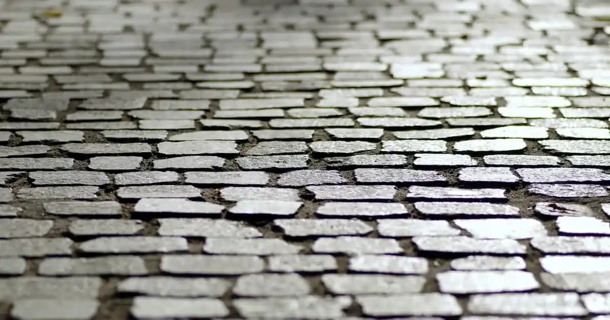 Yazlık Şık Anatomik Kadın Terlikleri: Konfor ve Estetiğin Mükemmel Buluşması