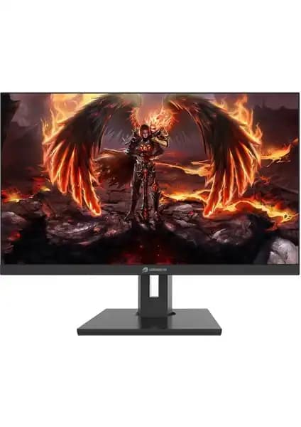 GameBooster GB-2419FF: Geniş Ekran ve Yüksek Performanslı Oyun Monitörü