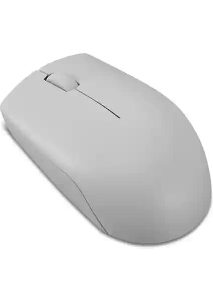 Lenovo 300 1000 DPI ve Philips SPK7317 1600 DPI Fare Karşılaştırması ve Kullanıcı Yorumları