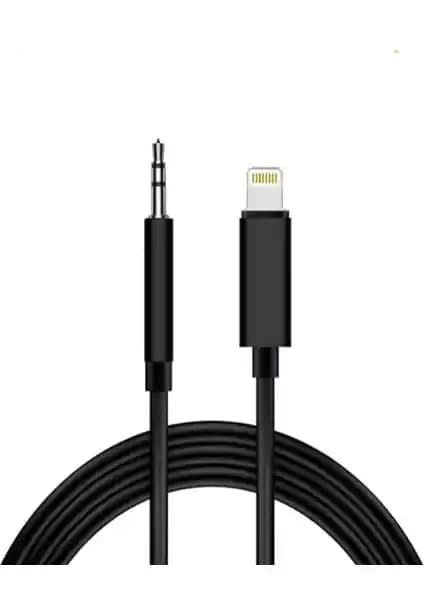 Lightning ve PSGT Lightning 3.5 mm Aux Ses Kablosu Karşılaştırması