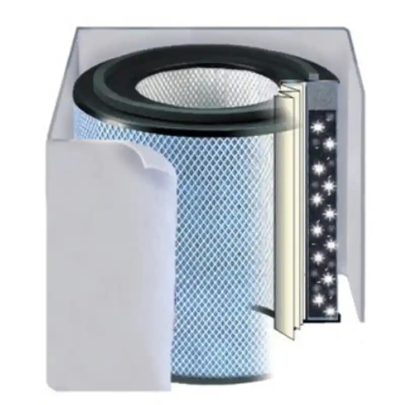 Austin Air Healthmate Plus ve Winix C610 Hava Temizleyicilerinin Alerjen Filtrasyon Kapasiteleri ve Ev Ortamı Etkileri