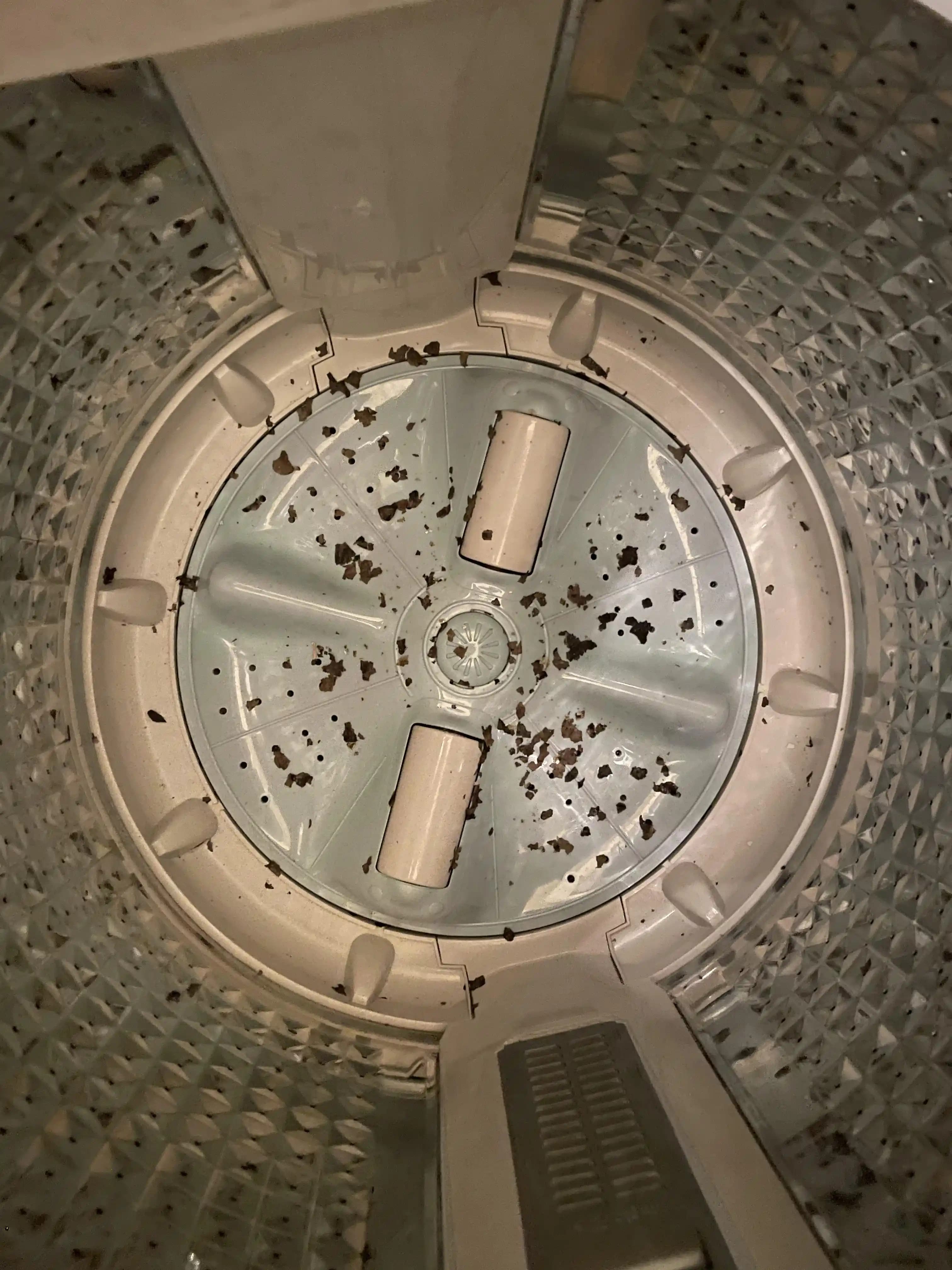 Çamaşır Makinesinde Siyah Pul Pul Dökülme Sorunu ve Etkili Çözüm Yöntemleri