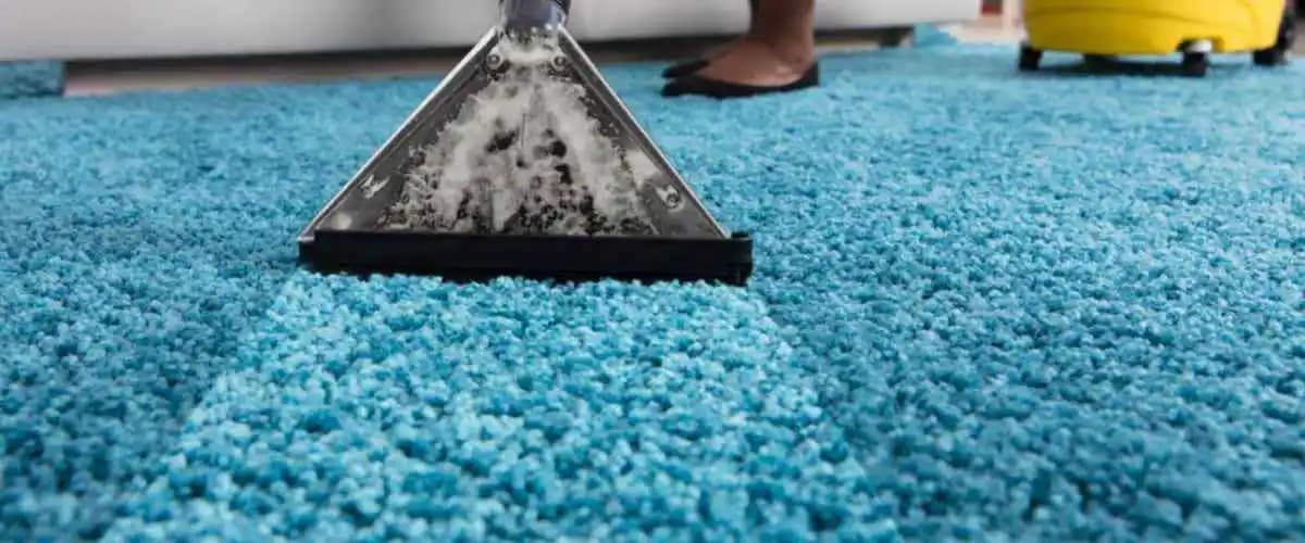 Düşük Tüylü Halılar ve Evcil Hayvan Tüyleri İçin Turbo ve Güç Başlıklarının Temizlik Performansı