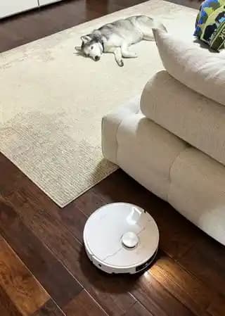 Husky Tüy Dökerken Dreame L50 Ultra Robot Süpürge ile Etkili Temizlik Yöntemleri