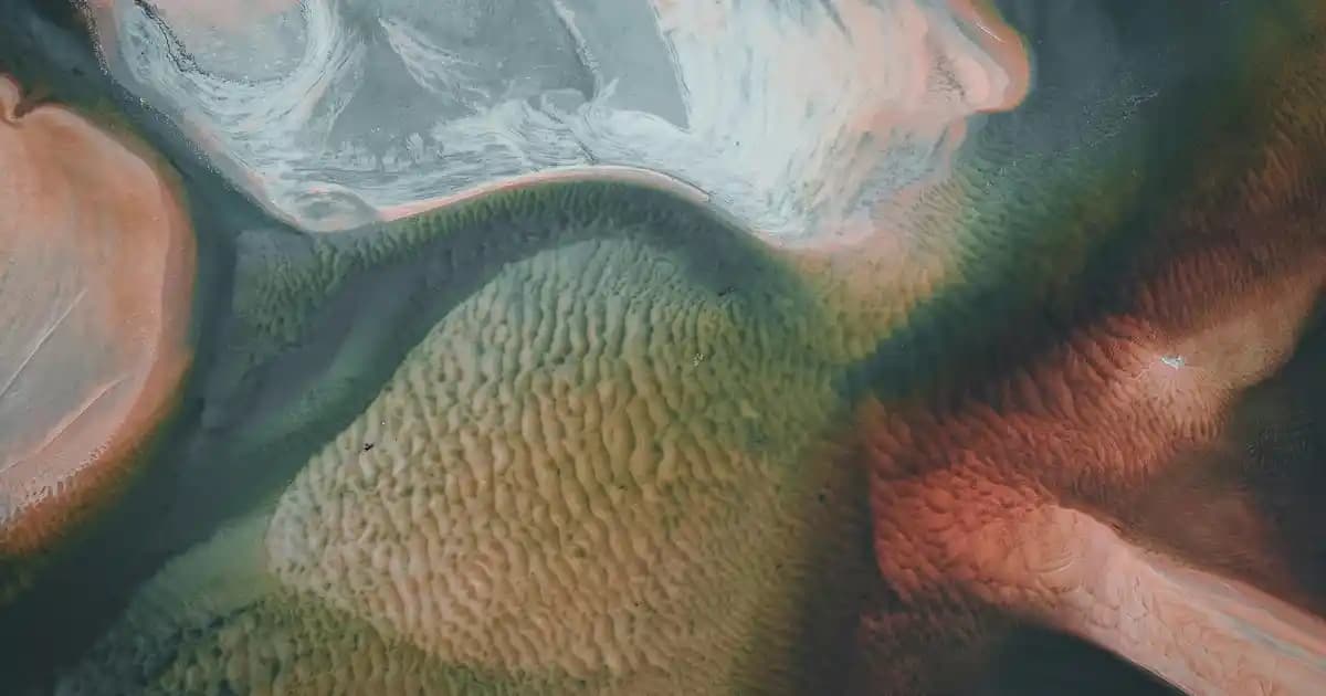 40 Dolarlık Robot Süpürge Performansı ve Alternatif Temizlik Çözümleri İncelemesi