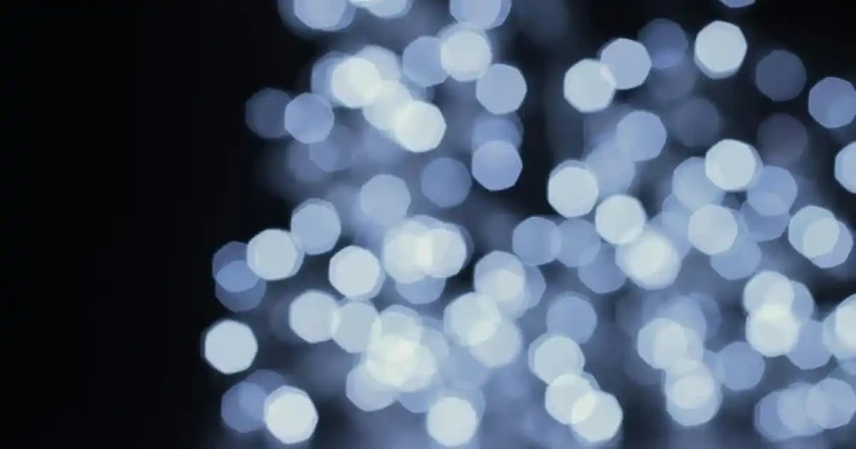 800 Dolar Altı Robot Süpürge Seçim Kriterleri ve Popüler Modellerin Karşılaştırması