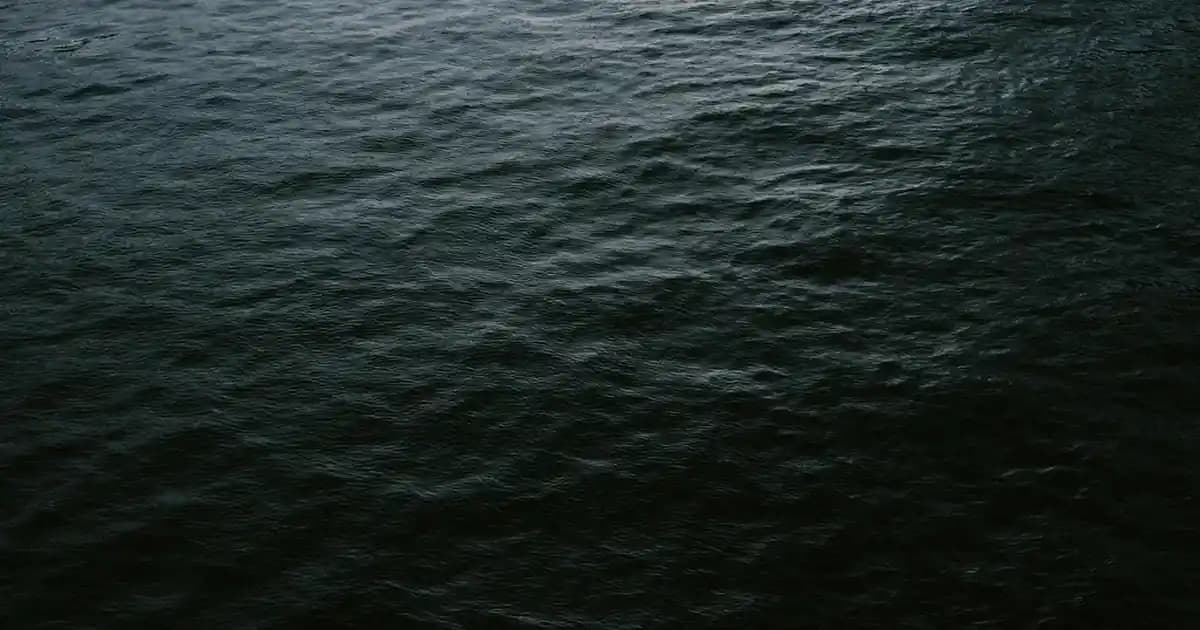 Nem Alıcıların Performans Katsayısı (COP) ve Isıtma Verimliliği Üzerine İnceleme