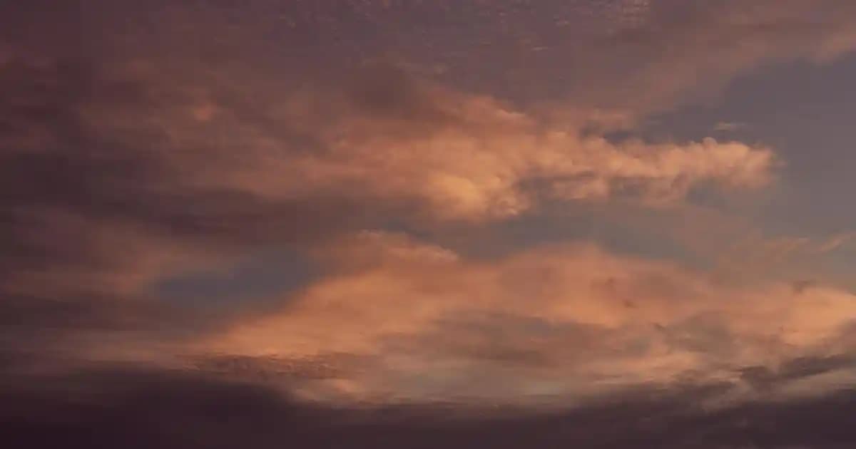 Nemlendirici Türleri, Bakım İpuçları ve Su Kalitesinin Önemi Hakkında Detaylı Rehber