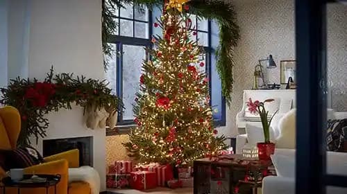 Noel Döneminde Hava Temizleyicilerin Artan Performansı ve Hava Kalitesi Etkileri