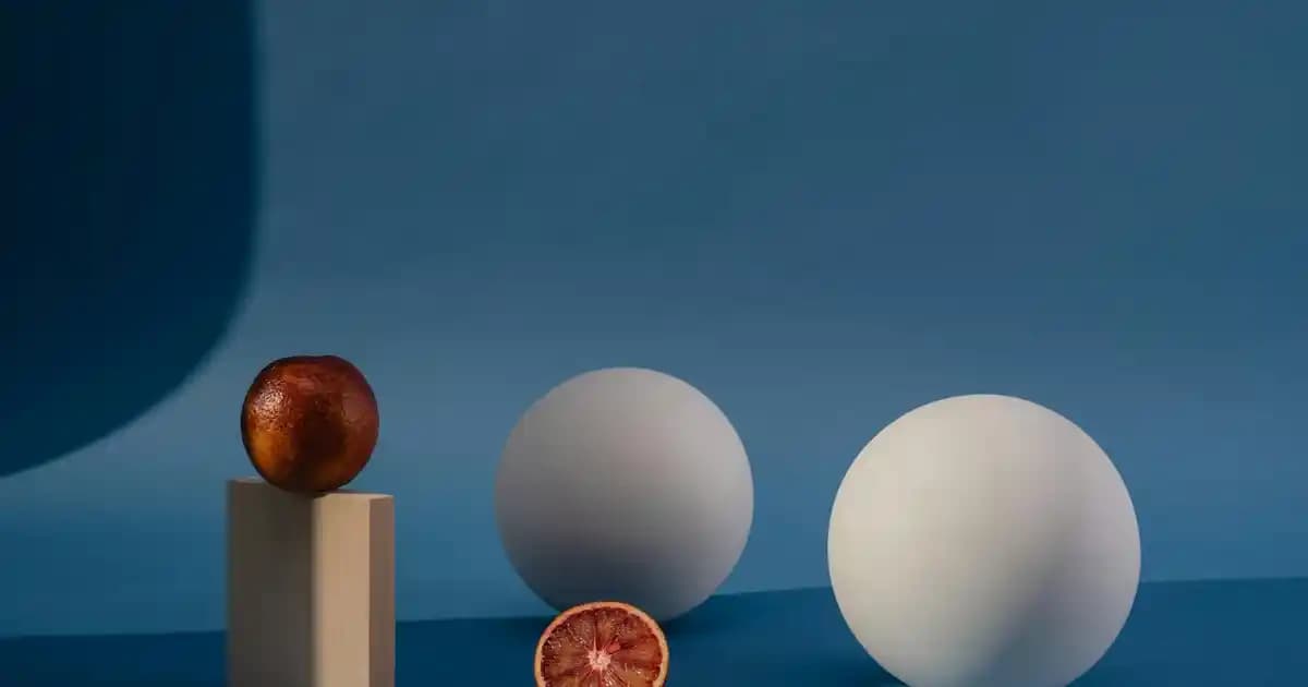 Rainbow ve Diğer Kaliteli Elektrikli Süpürgelerde Su Filtrasyonu ve Performans Karşılaştırması