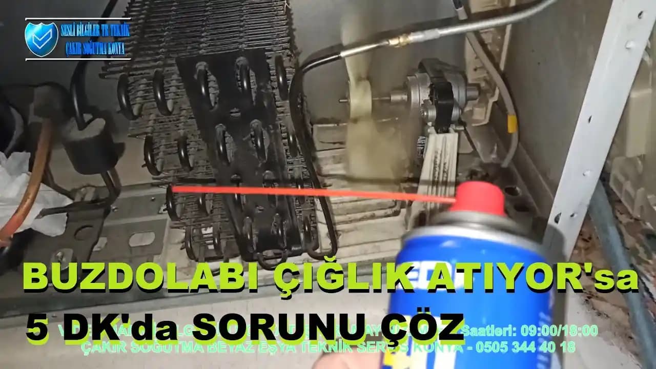 Whirlpool ED5VHEXVO06 Buzdolabı Kompresöründen Gelen Galloping Gürültüsünün Nedenleri ve Çözümleri